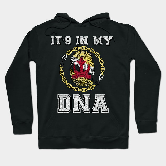 Brunei  It's In My DNA - Gift for Bruneian From Brunei Hoodie by Country Flags